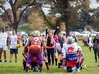 NZL CAN Christchurch 2018APR27 GO Dingoes v GunmaWakuwaku 049 : - DATE, - PLACES, - SPORTS, - TRIPS, 10's, 2018, 2018 - Kiwi Kruisin, 2018 Christchurch Golden Oldies, Alice Springs Dingoes Rugby Union Football Club, April, Canterbury, Christchurch, Day, Friday, Golden Oldies Rugby Union, Gunma Wakuwaku, Japan, Month, New Zealand, Oceania, Rugby Union, South Hagley Park, Teams, Year
